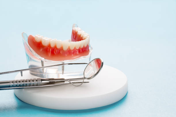 Trusted East Williston, NY  Holistic Dental Services Experts